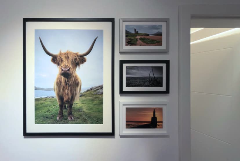 Gallery wall featuring Highland cow photograph and Scottish landscapes in black and white frames