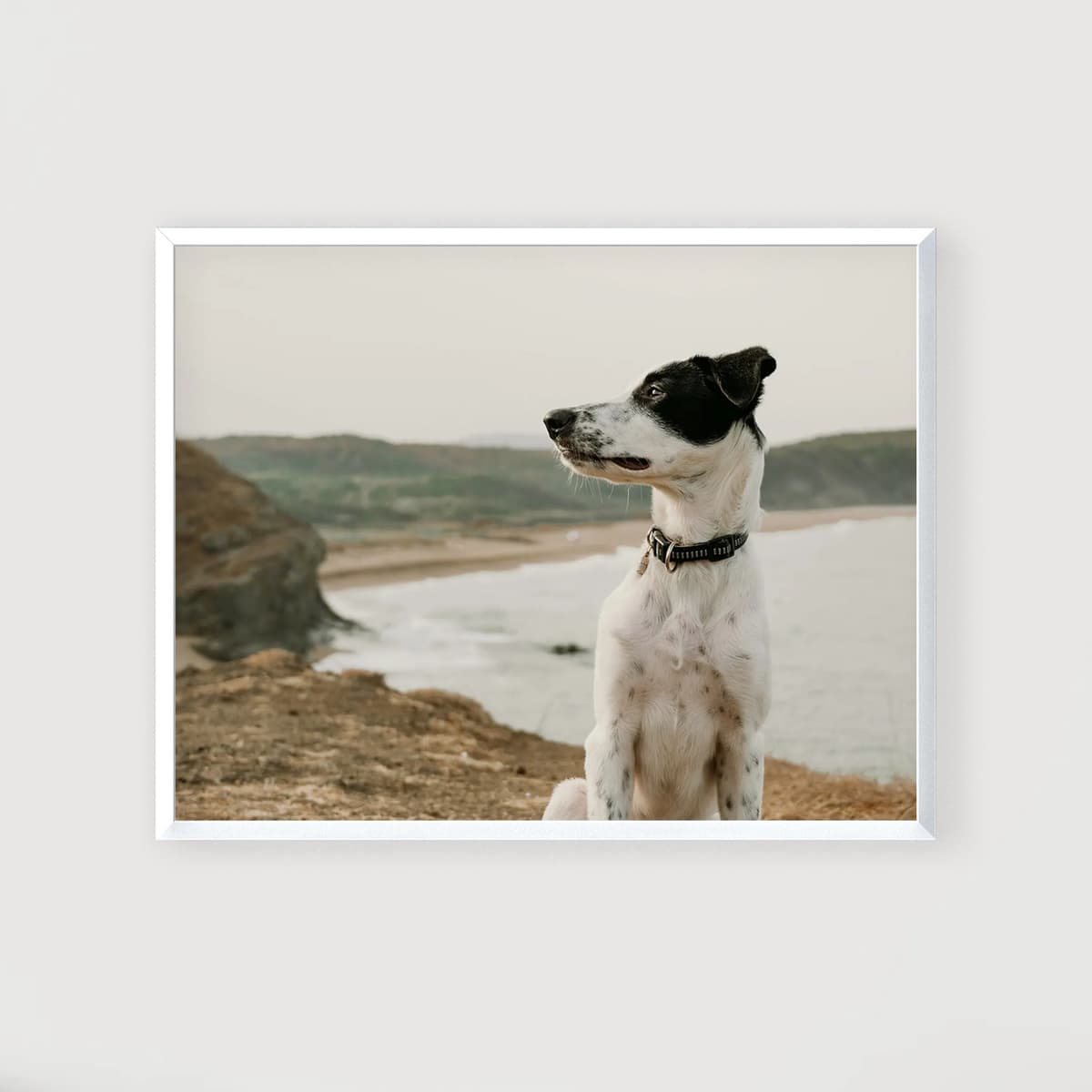 Photo wall 22 frames - Coastal Breeze - main view